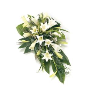 Lily and Rose Tribute