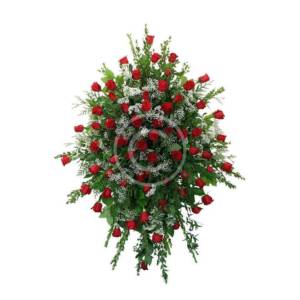 Sentiments Of Serenity